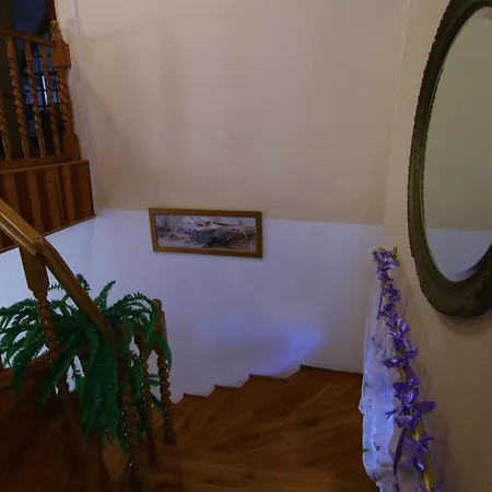 Violett Pensiune Mişcolţ